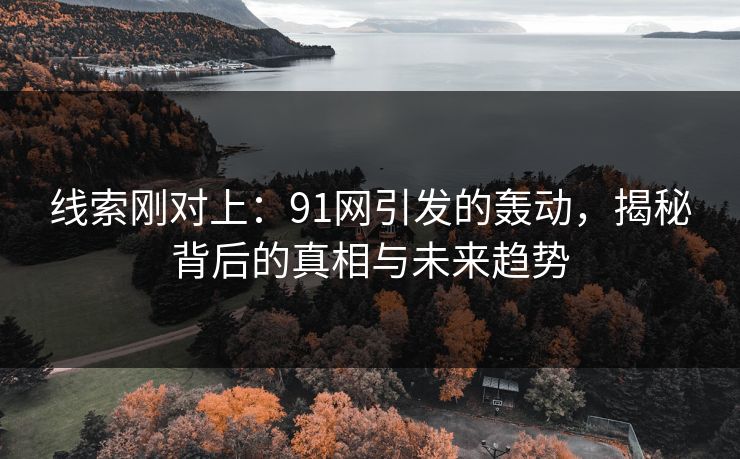 线索刚对上：91网引发的轰动，揭秘背后的真相与未来趋势