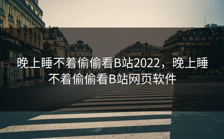 晚上睡不着偷偷看B站2022，晚上睡不着偷偷看B站网页软件