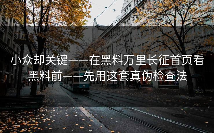 小众却关键——在黑料万里长征首页看黑料前——先用这套真伪检查法