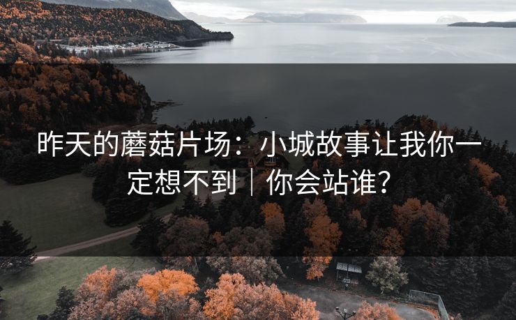 昨天的蘑菇片场：小城故事让我你一定想不到｜你会站谁？