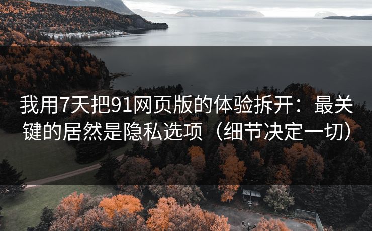我用7天把91网页版的体验拆开:最关键的居然是隐私选项(细节决定一切) 我用7天把91网页版的体验拆开:最关键的居然是隐私选项(细节决定一切)
