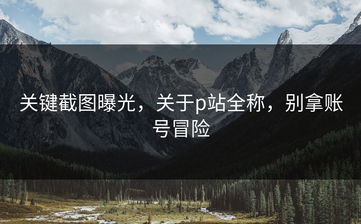 关键截图曝光，关于p站全称，别拿账号冒险